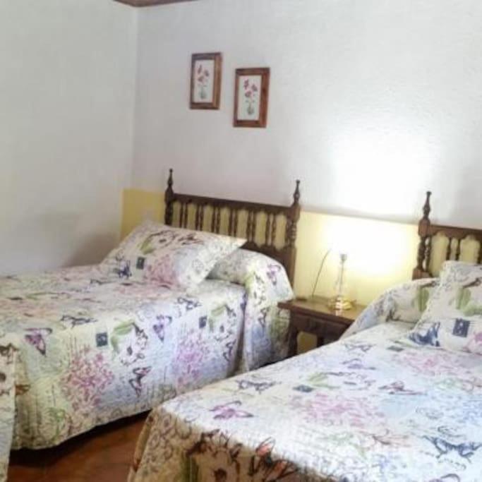 Casa Rural Barangua En El Pirineo Aragones Santa Cruz de la Serós Esterno foto