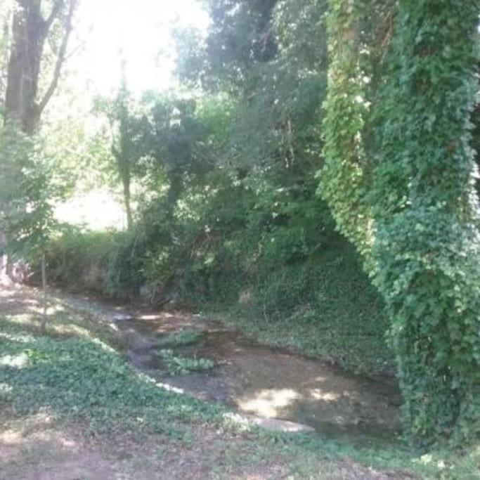 Casa Rural Barangua En El Pirineo Aragones Santa Cruz de la Serós Esterno foto