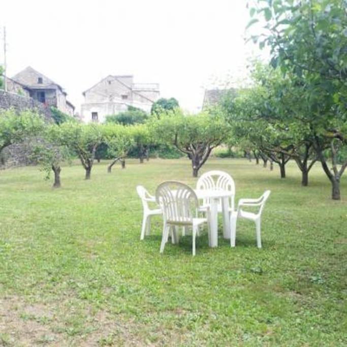 Casa Rural Barangua En El Pirineo Aragones Santa Cruz de la Serós Esterno foto